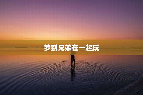 梦到兄弟在一起玩