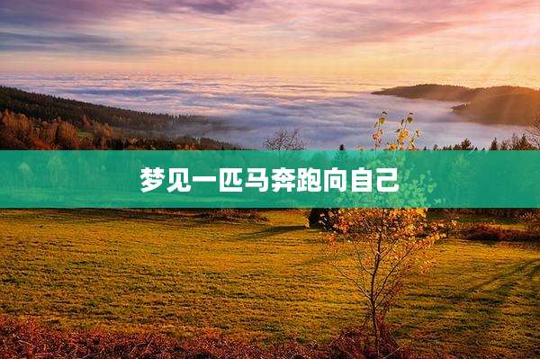 梦见一匹马奔跑向自己