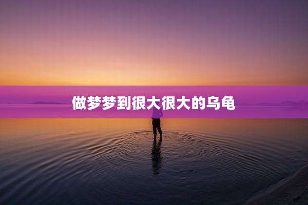 做梦梦到很大很大的乌龟