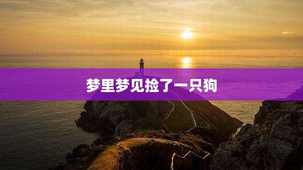 梦里梦见捡了一只狗