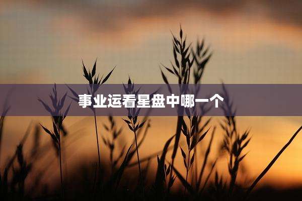 事业运看星盘中哪一个