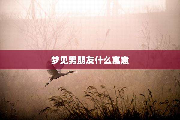 梦见男朋友什么寓意