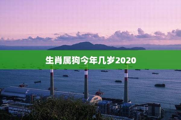 生肖属狗今年几岁2020