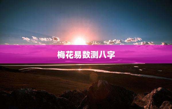 梅花易数测八字