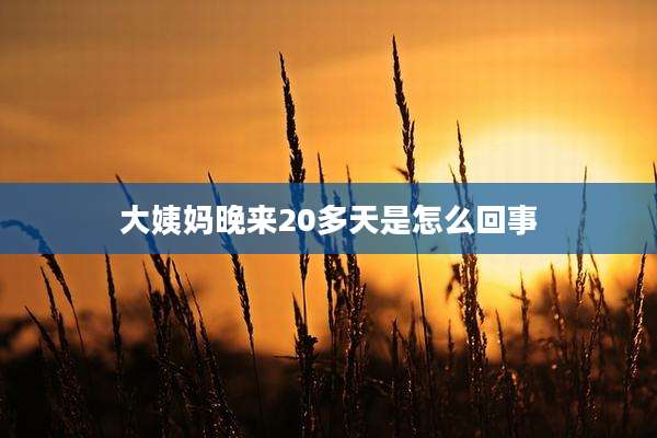 大姨妈晚来20多天是怎么回事