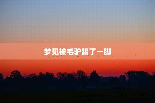 梦见被毛驴踢了一脚