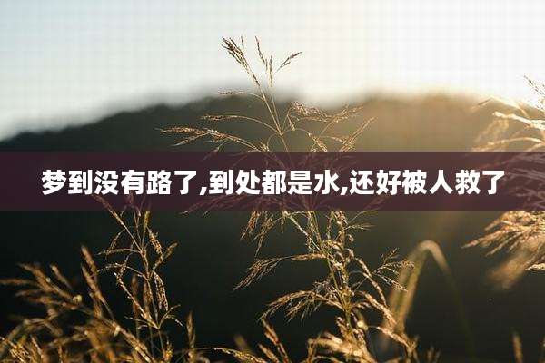 梦到没有路了,到处都是水,还好被人救了
