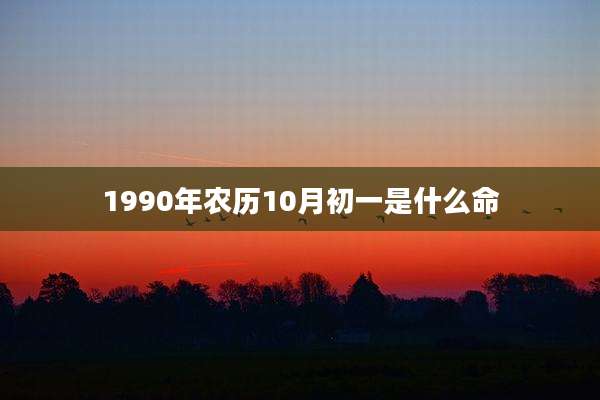 1990年农历10月初一是什么命