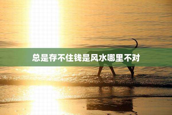 总是存不住钱是风水哪里不对