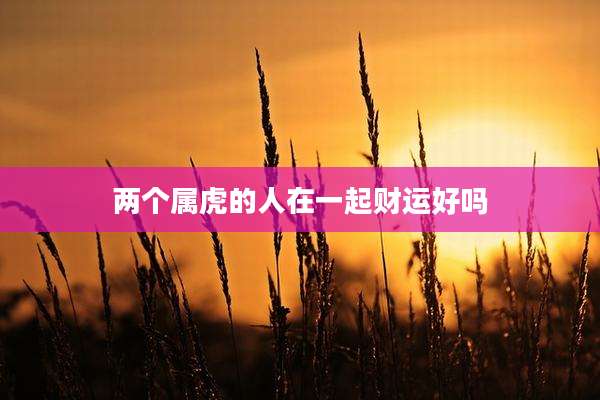 两个属虎的人在一起财运好吗