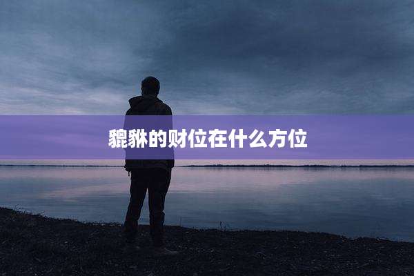 貔貅的财位在什么方位