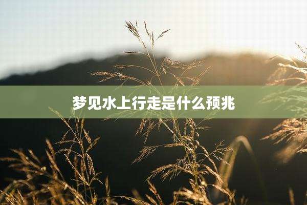 梦见水上行走是什么预兆