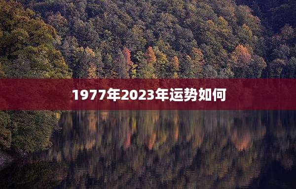 1977年2023年运势如何