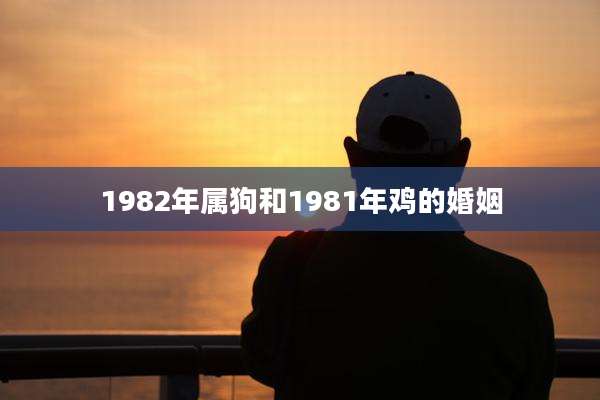 1982年属狗和1981年鸡的婚姻