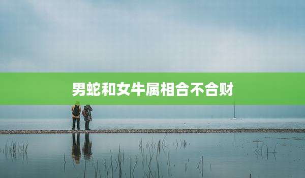 男蛇和女牛属相合不合财
