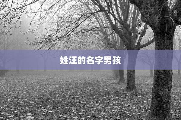 姓汪的名字男孩