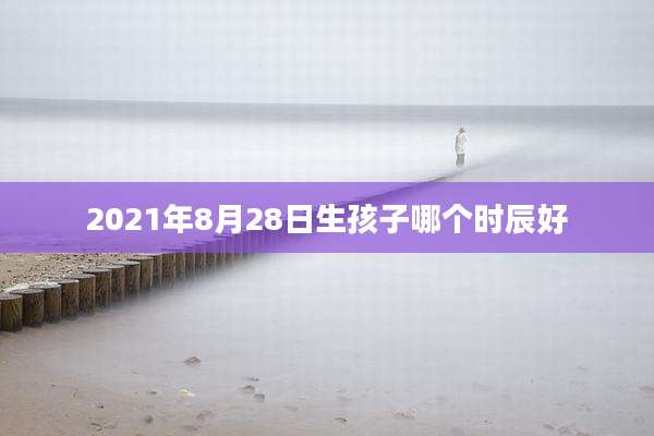 2021年8月28日生孩子哪个时辰好