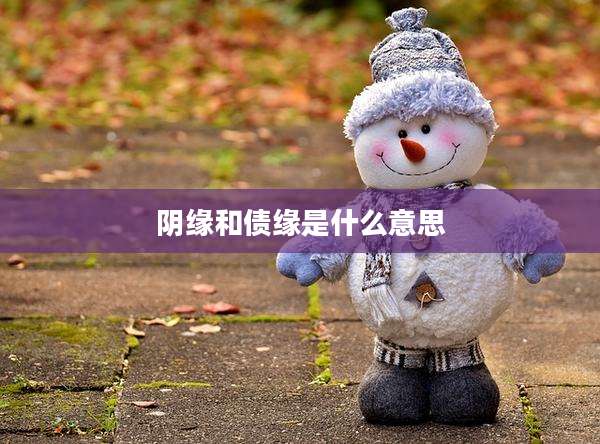 阴缘和债缘是什么意思