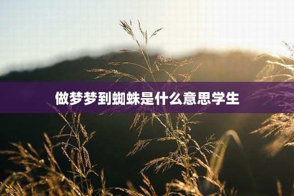 做梦梦到蜘蛛是什么意思学生