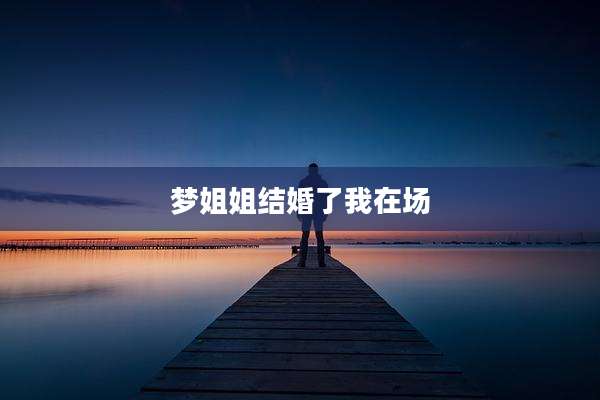 梦姐姐结婚了我在场
