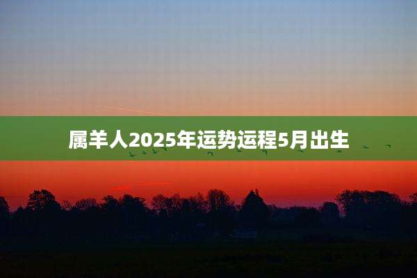 属羊人2025年运势运程5月出生