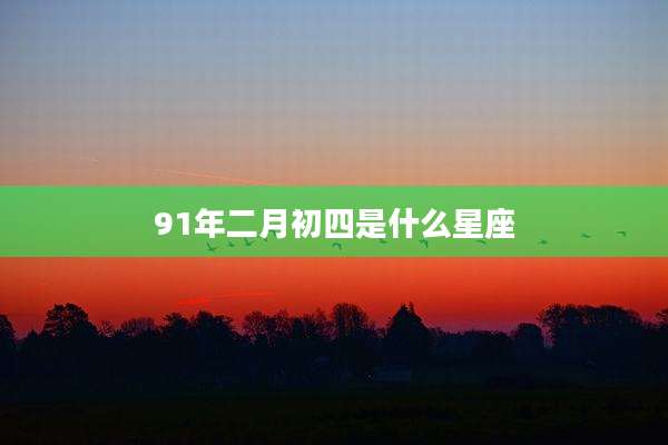91年二月初四是什么星座