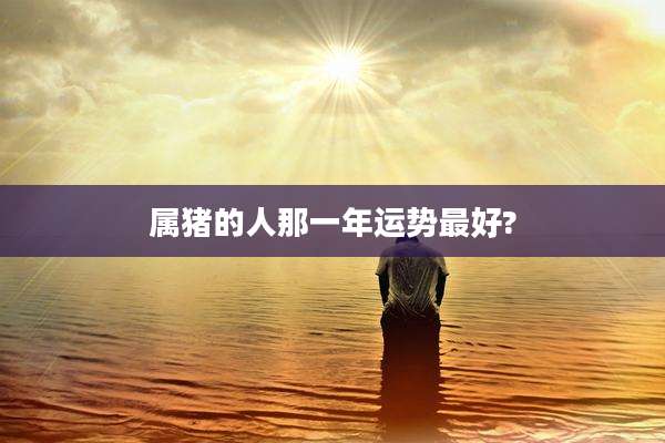 属猪的人那一年运势最好?