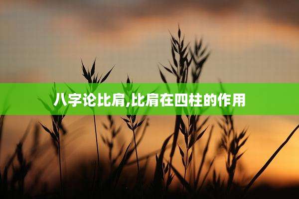 八字论比肩,比肩在四柱的作用
