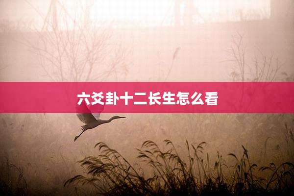 六爻卦十二长生怎么看