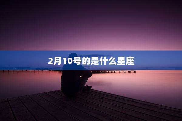 2月10号的是什么星座