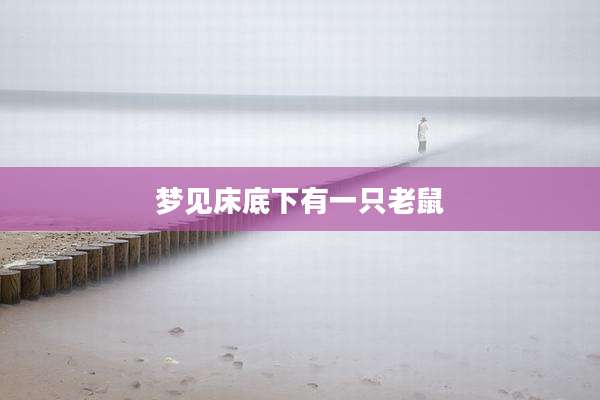梦见床底下有一只老鼠