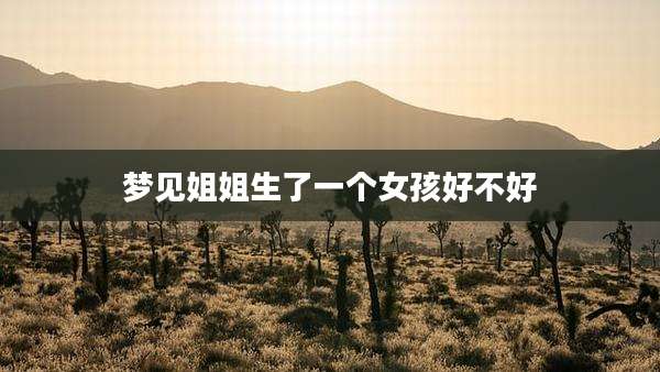 梦见姐姐生了一个女孩好不好