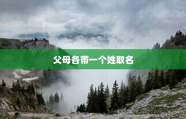 父母各带一个姓取名
