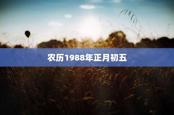 农历1988年正月初五