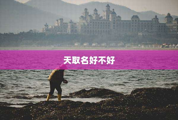 天取名好不好