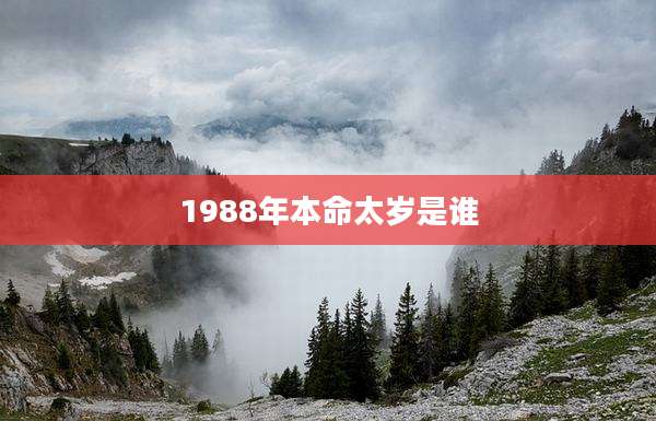 1988年本命太岁是谁