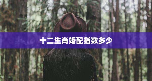 十二生肖婚配指数多少