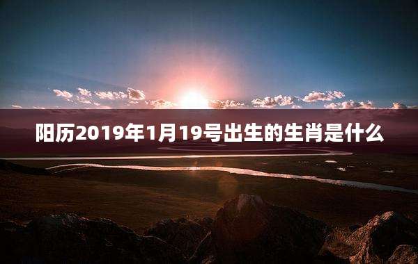 阳历2019年1月19号出生的生肖是什么