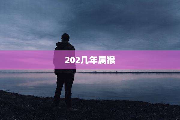 202几年属猴