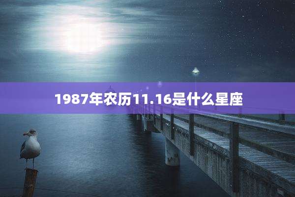1987年农历11.16是什么星座