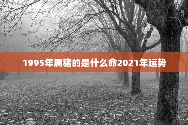 1995年属猪的是什么命2021年运势