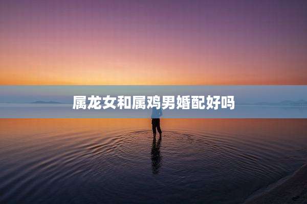 属龙女和属鸡男婚配好吗