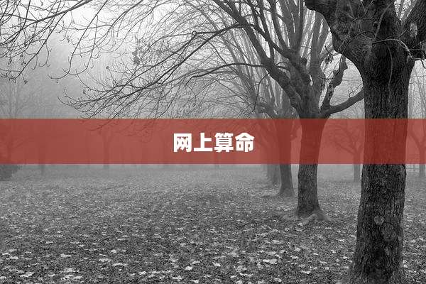 网上算命
