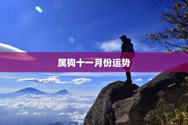属狗十一月份运势