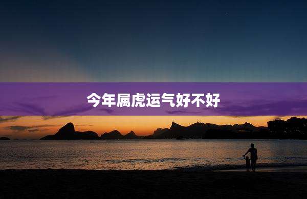 今年属虎运气好不好