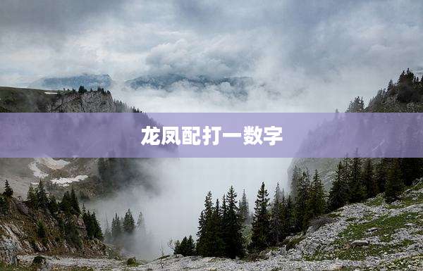 龙凤配打一数字