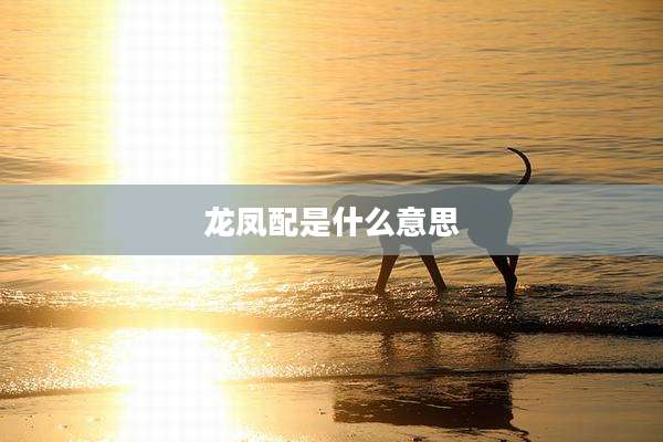 龙凤配是什么意思
