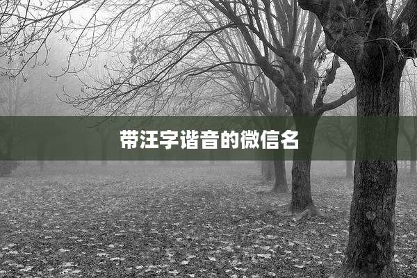 带汪字谐音的微信名
