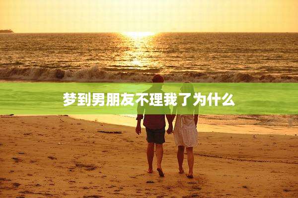 梦到男朋友不理我了为什么