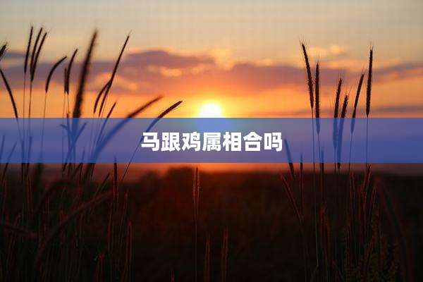 马跟鸡属相合吗